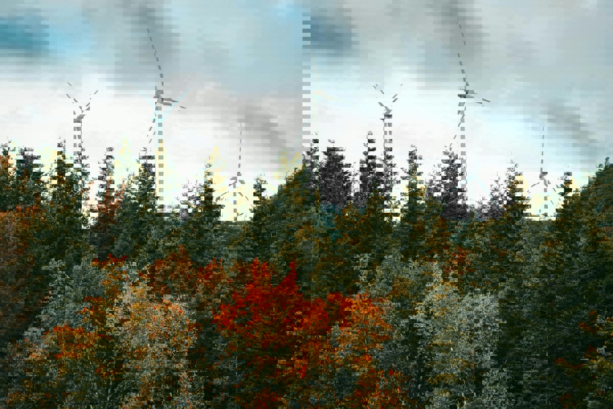 Mehrere Gebiete im Weinland eignen sich aus Sicht des Kantons Zürich gut für grössere Windkraftanlagen.