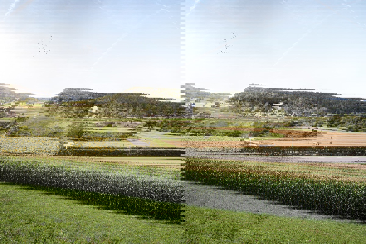 Die Oberflächenanlage, wie sie einst in Stadel ZH stehen könnte.