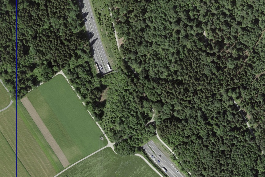 2012 9 Ersatzaufforstung Ausschnitt GIS ZH21